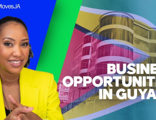 How to Get Your Business in Guyana